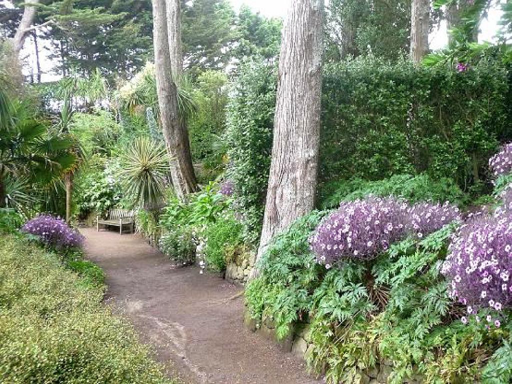 131 Ile de Batz Jardin Georges Delaselle_000021.jpg